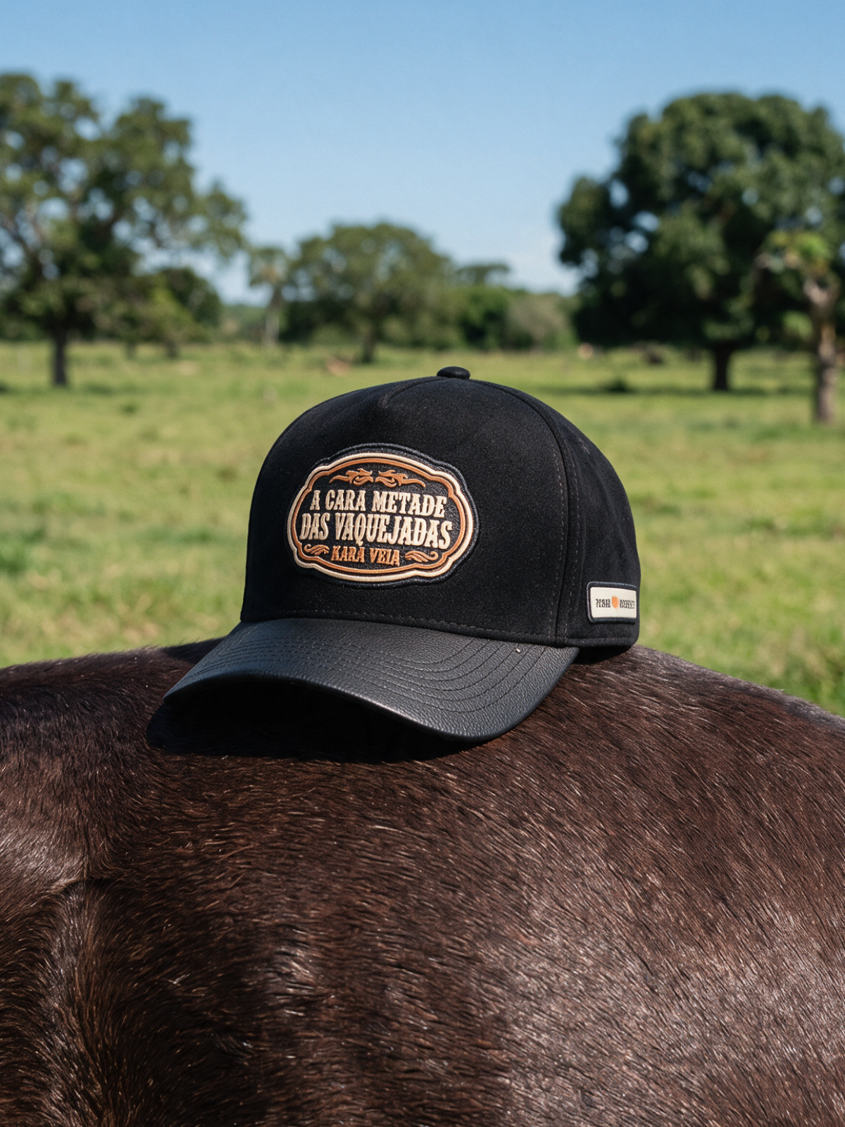 Boné A Cara Metade das Vaquejadas Preto (Trucker)