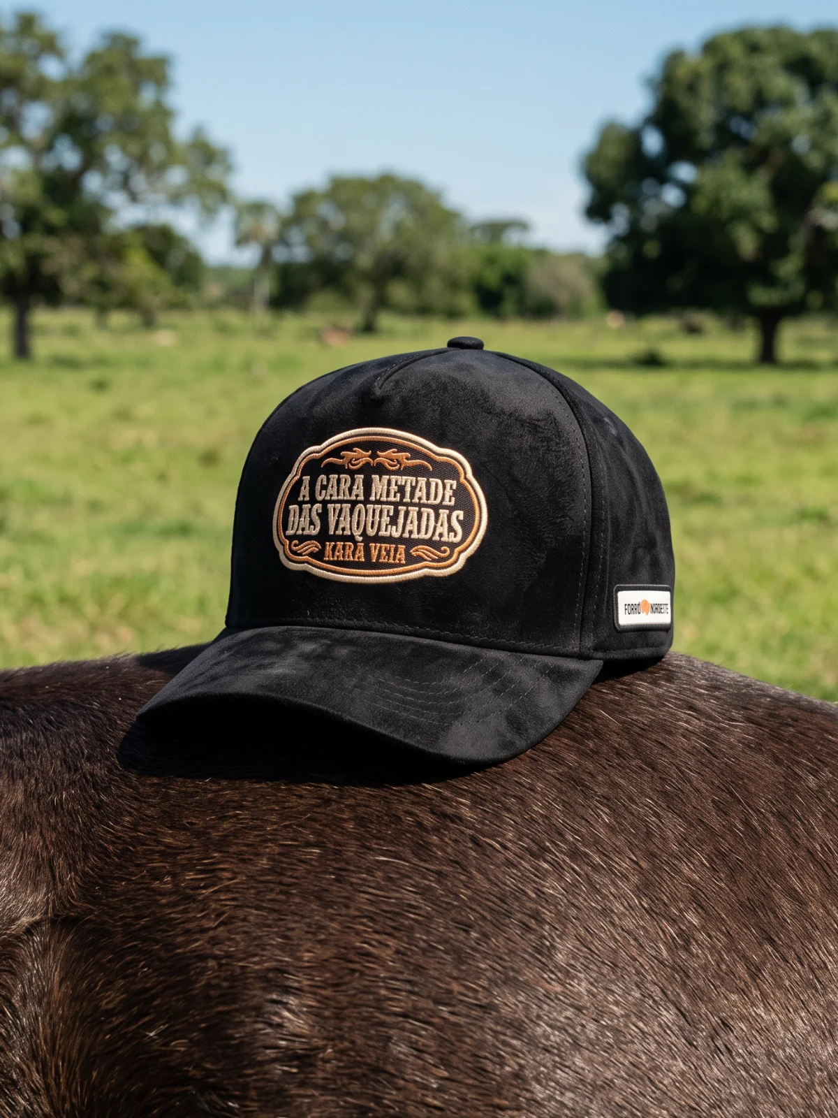 Boné A Cara Metade das Vaquejadas Preto (Trucker)